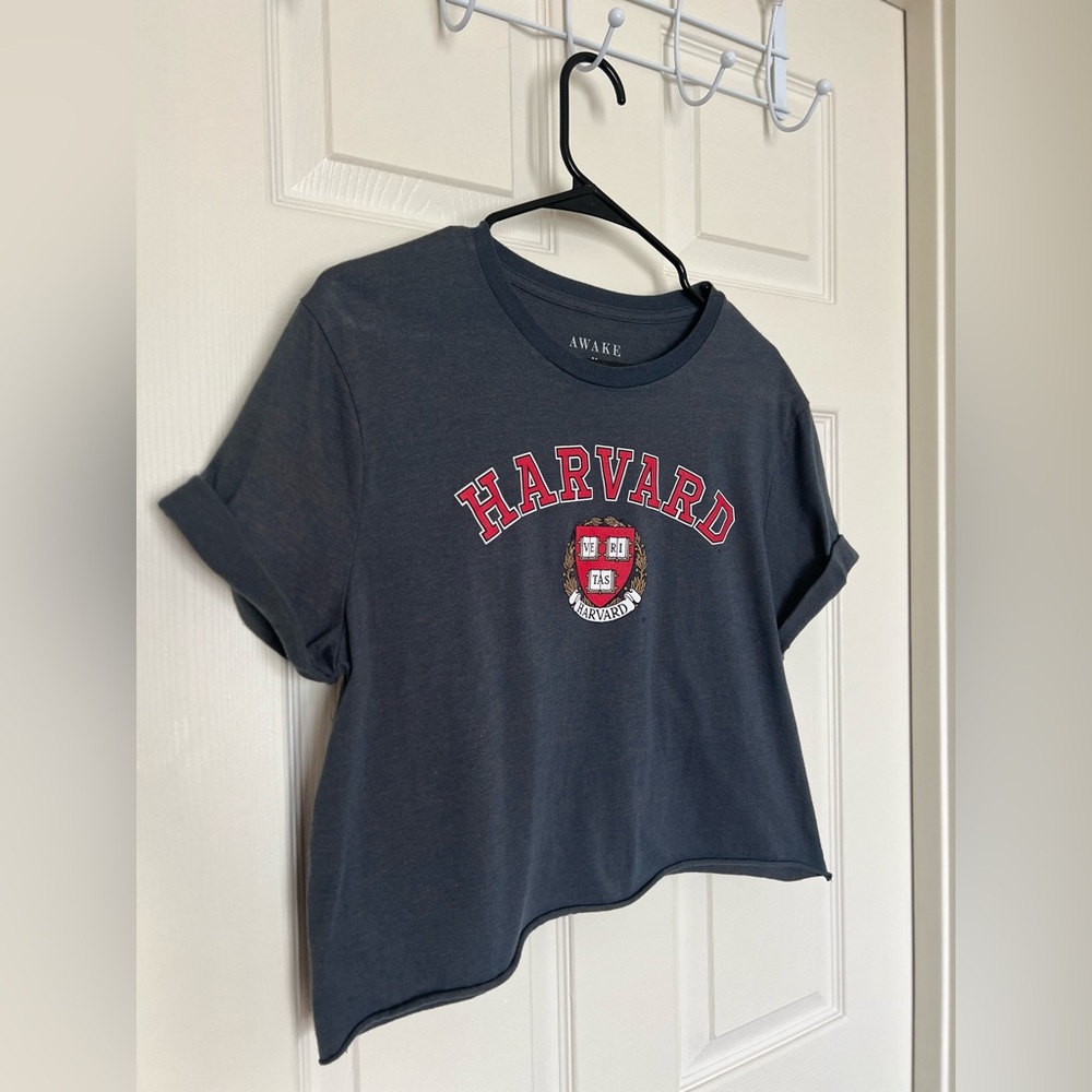 Harvard Crop Top, Ve Ri Tas, Awake Brand, Size M, Heather Blue